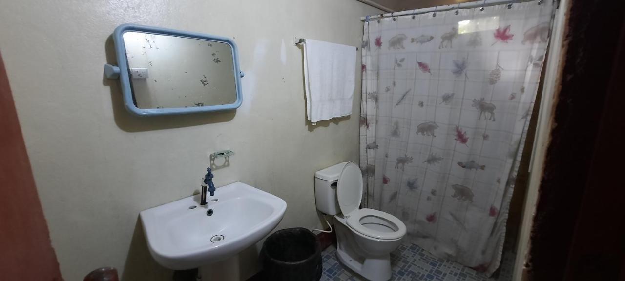 Tropical Dreams Hostel South End 外观 照片