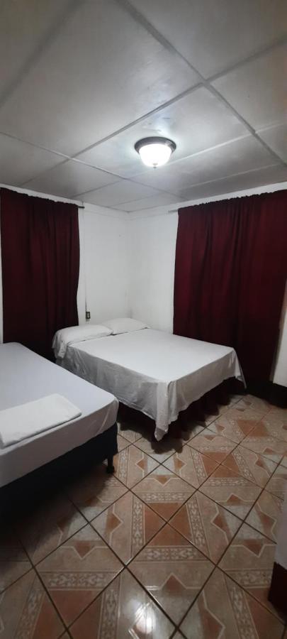 Tropical Dreams Hostel South End 外观 照片