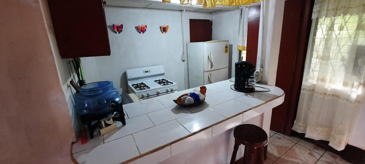 Tropical Dreams Hostel South End 外观 照片