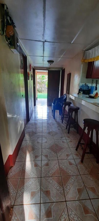 Tropical Dreams Hostel South End 外观 照片