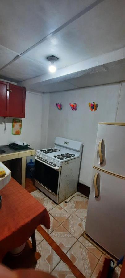 Tropical Dreams Hostel South End 外观 照片
