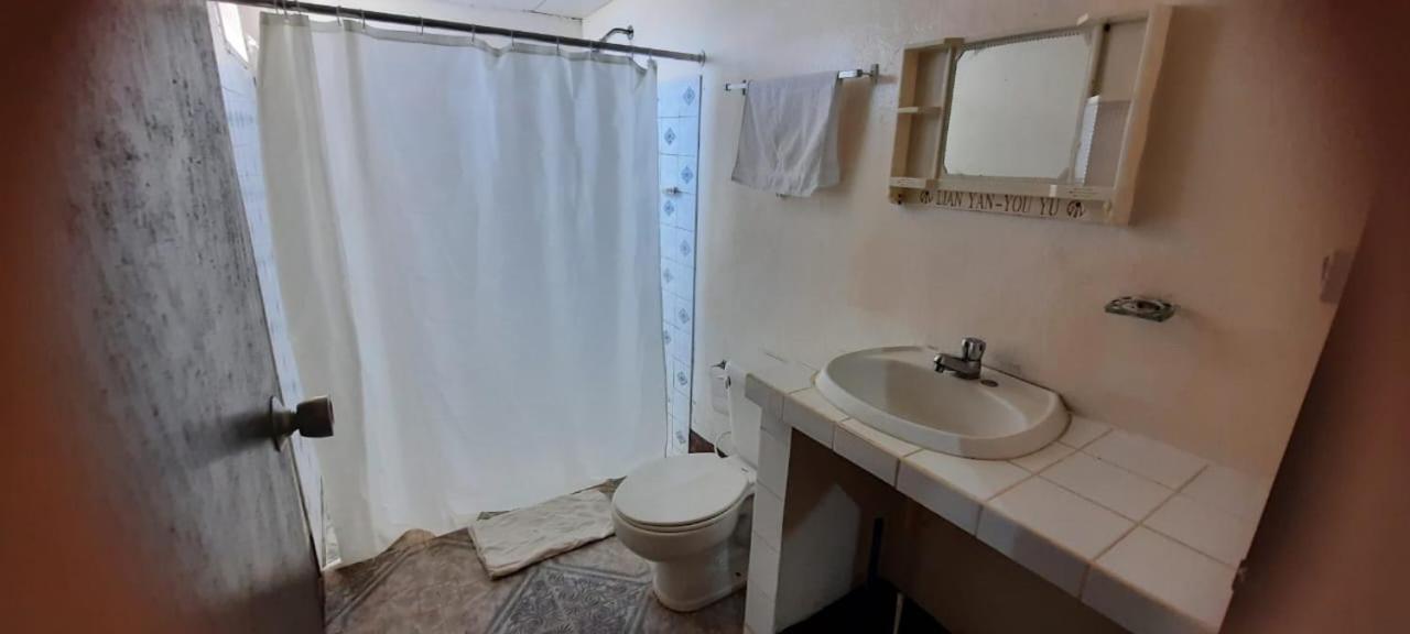 Tropical Dreams Hostel South End 外观 照片